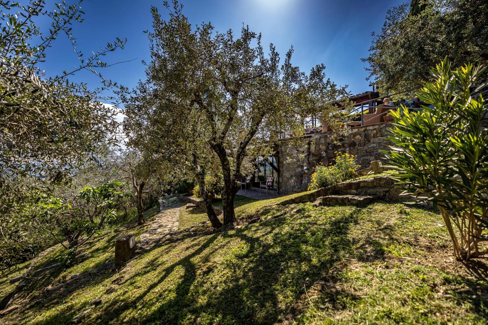 Bed Breakfast La Paggeria Trespiano 外观 照片