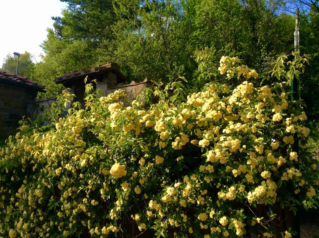 Bed Breakfast La Paggeria Trespiano 外观 照片